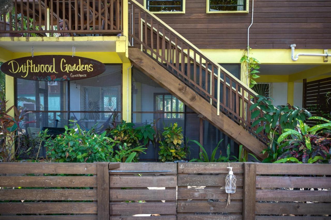 Driftwood Gardens Guesthouse Placencia Ngoại thất bức ảnh